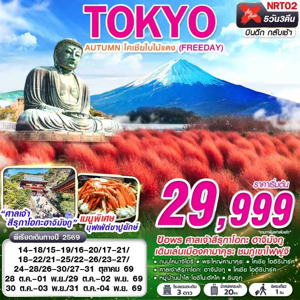 ทัวร์ญี่ปุ่น  TOKYO AUTUMN โคเชียใบไม้แดง (ฟรีเดย์)  5วัน 3คืน (XJ)